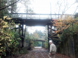 lease-crutcher-lewis-zoo-walkway-support3